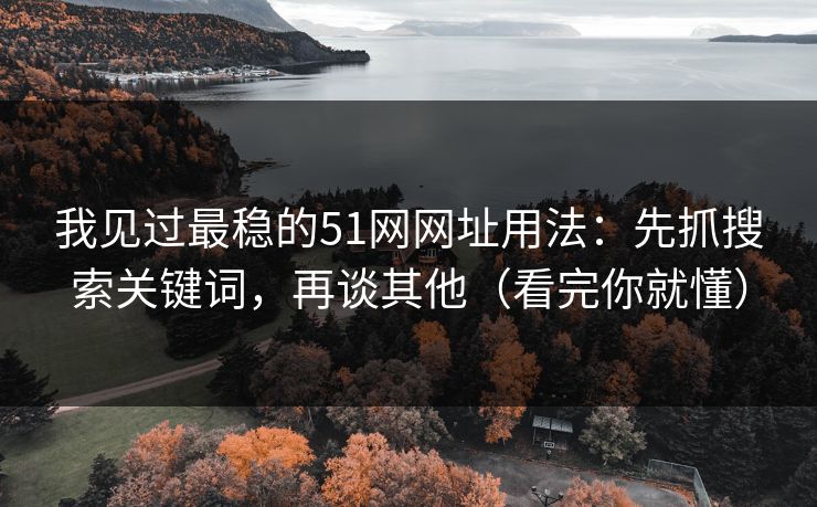 我见过最稳的51网网址用法：先抓搜索关键词，再谈其他（看完你就懂）