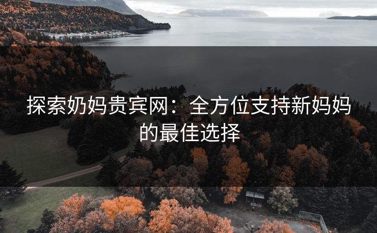 探索奶妈贵宾网：全方位支持新妈妈的最佳选择